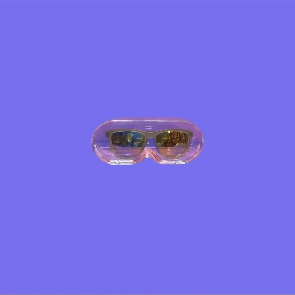 PLASTIC WALL MOUNT FLIP FRONT EYEGLASS CASE